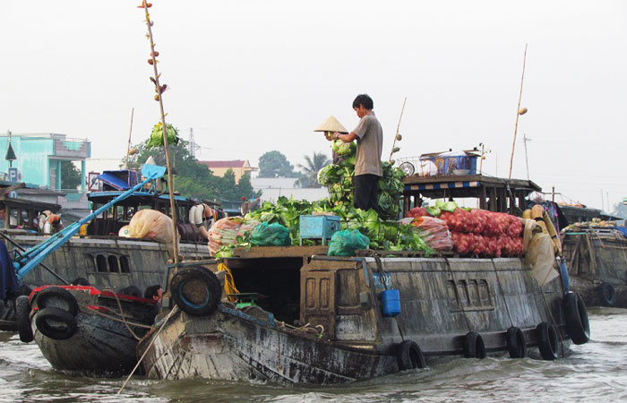 cruise on mekong delta on 2 3 4 or 5 days floating market